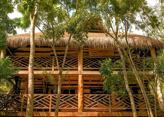 Treehouse H2ojos *