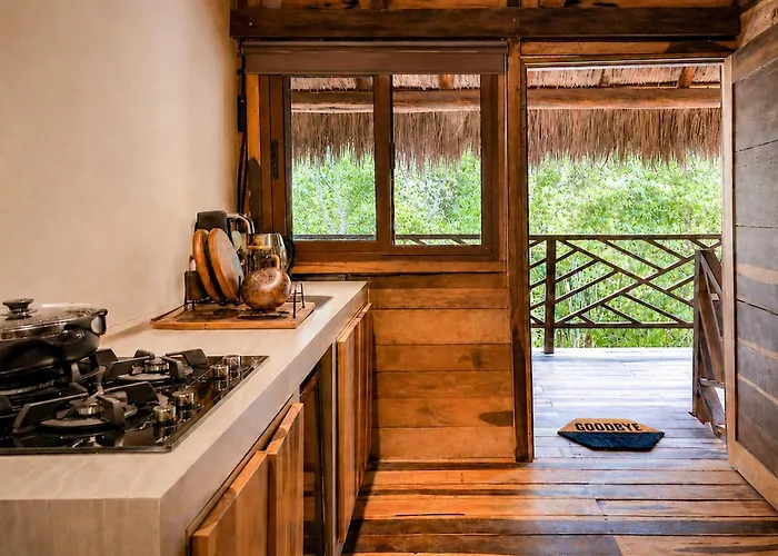 Lodge Treehouse H2ojos