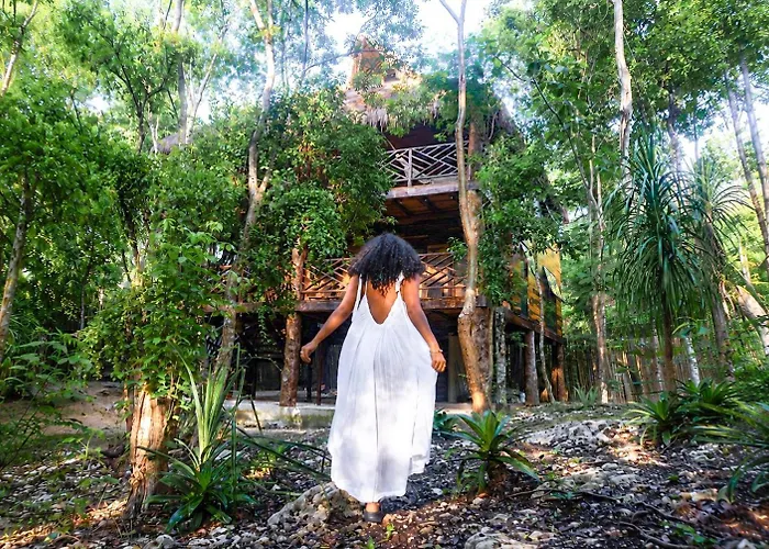 Treehouse H2ojos