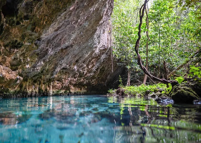 Treehouse H2ojos Lodge Tulum