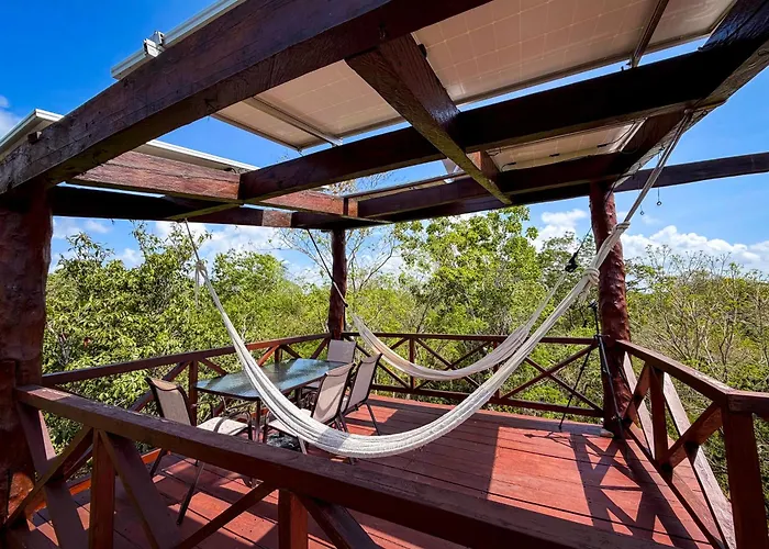 Treehouse H2ojos
